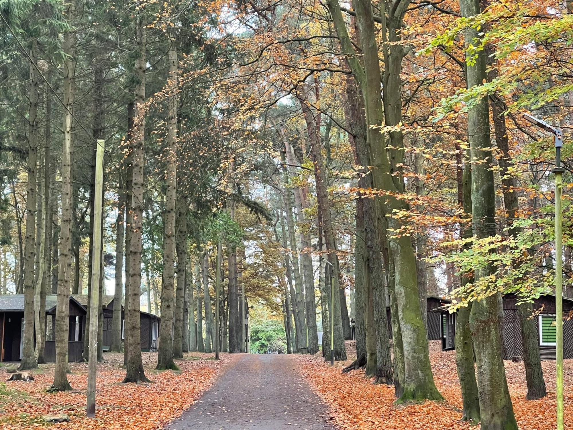 Feriendorf Fynnus Dranske Esterno foto